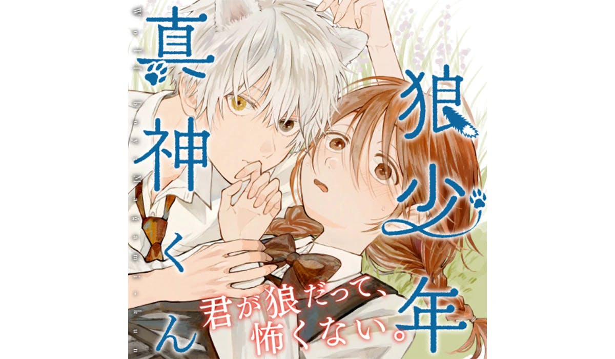 Uma história direta de amizade interespécies entre uma garota e um lobo! “Keeping a Boy” Uma nova série desenhada por Nui Aoi “Wolf Boy Shingami-kun” começa no Departamento Editorial da Zenon